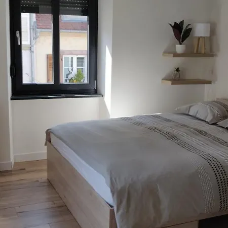 Le Cygne, Appartement De Standing En Hyper-Centre Sarreguemines Exterior foto