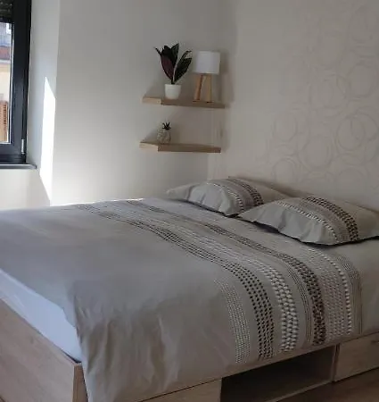 Le Cygne, Appartement De Standing En Hyper-Centre Sarreguemines Exterior foto