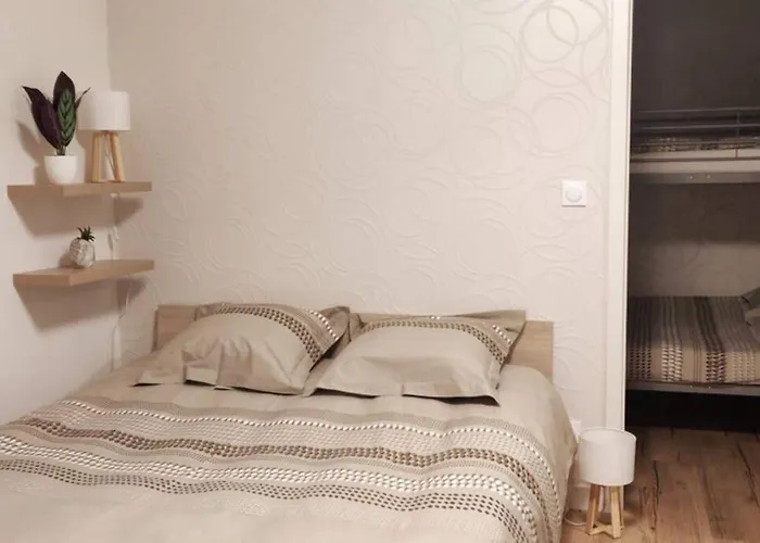 Le Cygne, Appartement De Standing En Hyper-Centre