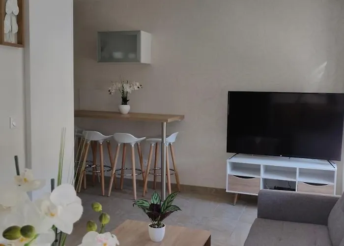 Le Cygne, Appartement De Standing En Hyper-Centre