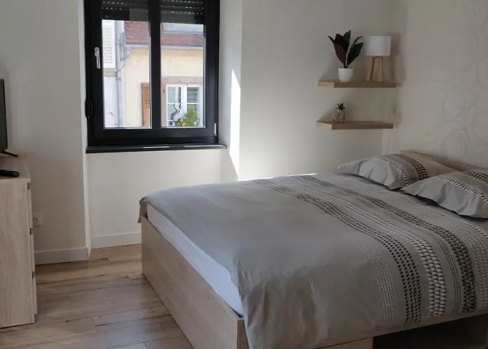 Le Cygne, Appartement De Standing En Hyper-Centre