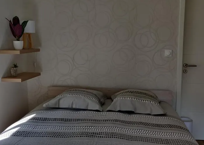 Le Cygne, Appartement De Standing En Hyper-Centre