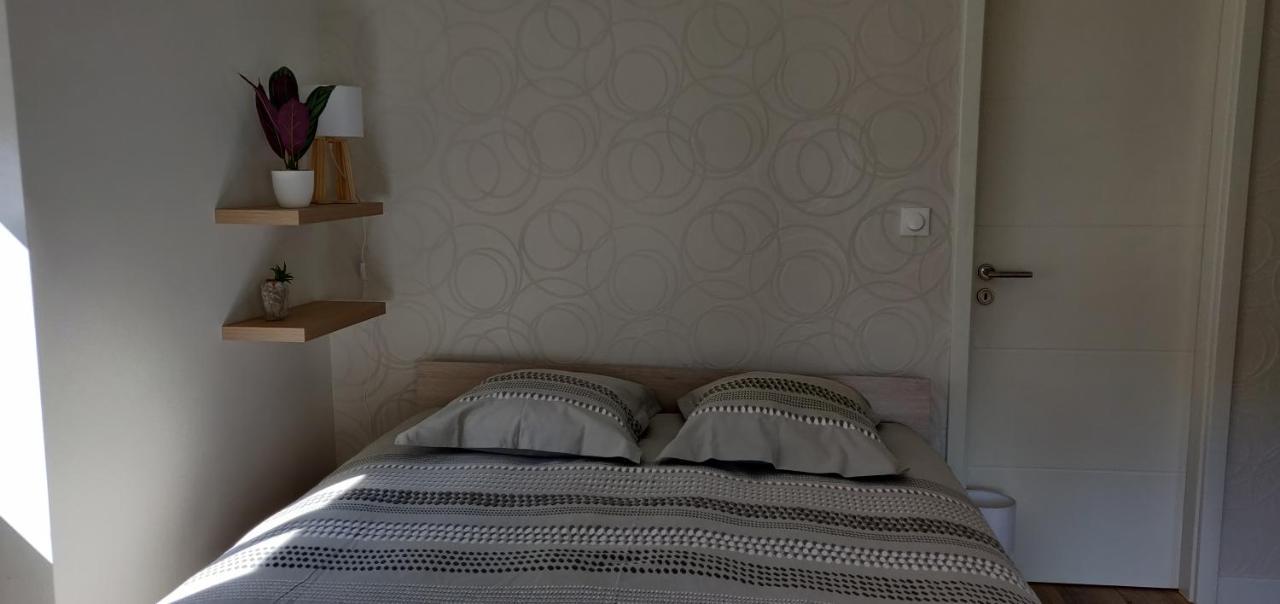 Le Cygne, De Standing En Hyper-centre Apartamento Sarreguemines